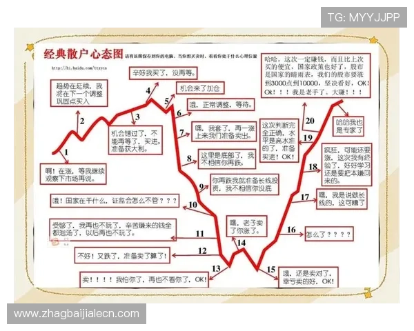 dg视讯长期盈利策略全面解析助你实现稳定收益的实用方法