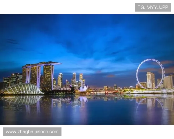 云顶集团新加坡：从历史到现状全面介绍其在新加坡的业务运营与市场影响