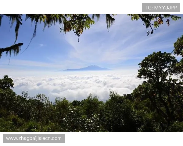吉隆坡云顶索道全景体验：带你领略云顶高原的壮丽景色
