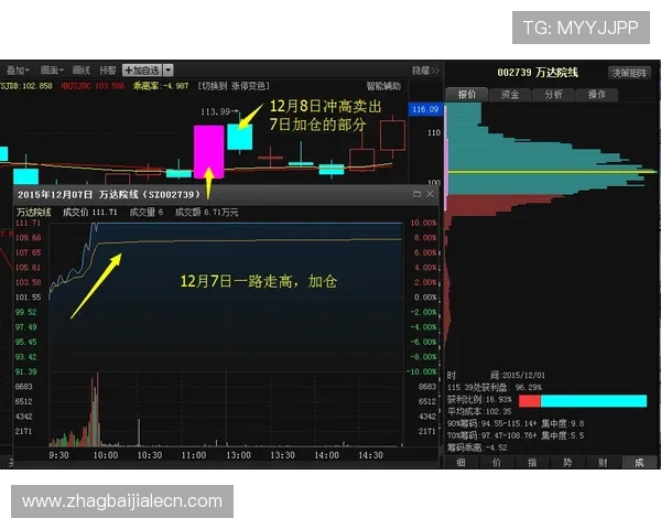 深入解析百家乐路单实例让玩家轻松掌握不同类型路单的特点与应用技巧